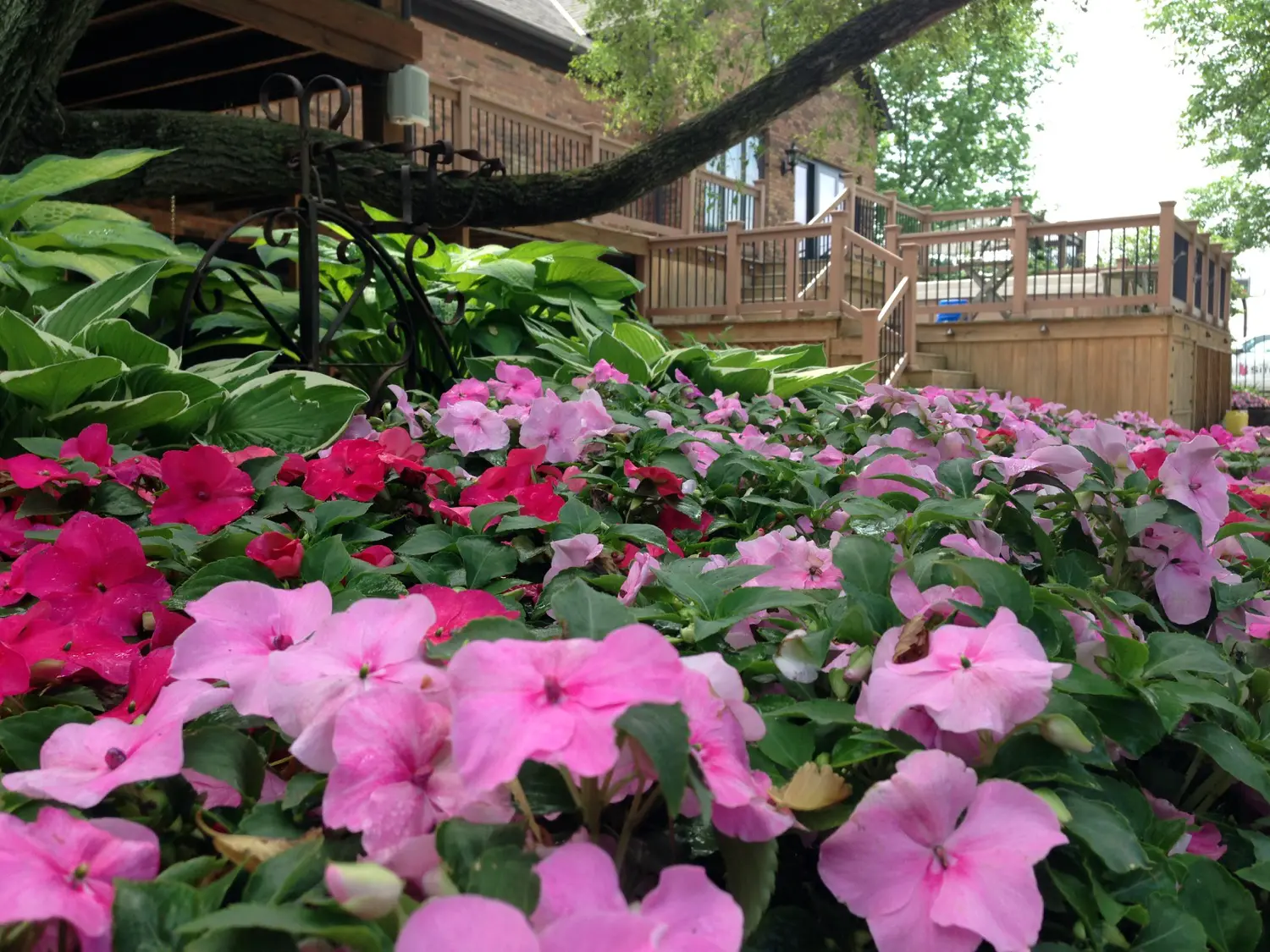 Landscaping Maintenance IMG