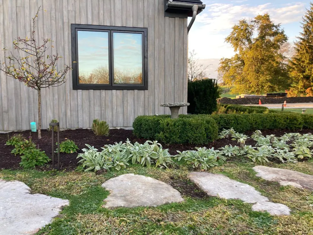 Backyard Refresh - Small Remodel Project - The Site Group Backyard Refresh - Small Remodel Project - The Site Group