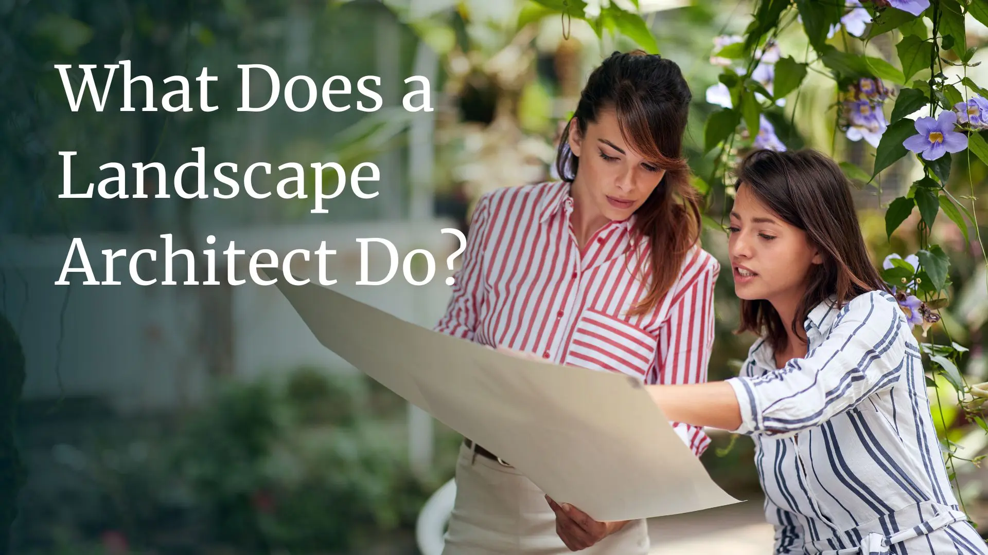 Develop Garden Featured Projects Landscape Architecture Design The SiteGroup Develop Garden Featured Projects Landscape Architecture Design The SiteGroup