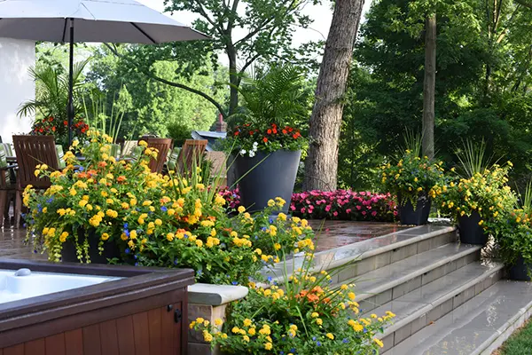 Design Front Yard Landscape Cottage