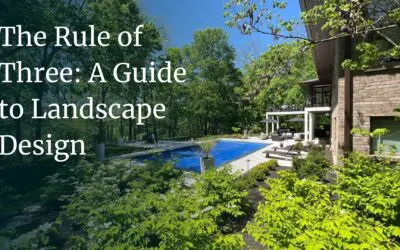 The Rule of Three in Landscape Designs: Why It Works and When to Break It