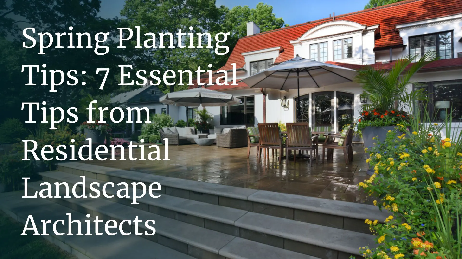 Develop Garden Featured Projects Landscape Architecture Design The SiteGroup Develop Garden Featured Projects Landscape Architecture Design The SiteGroup