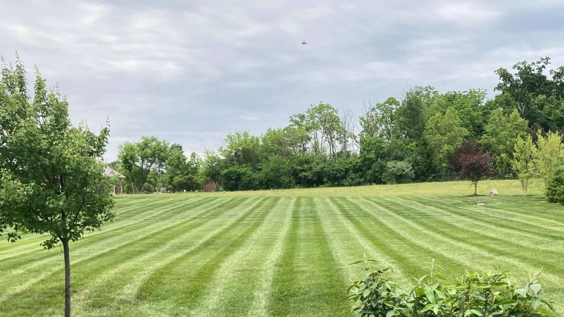Lawn Installation