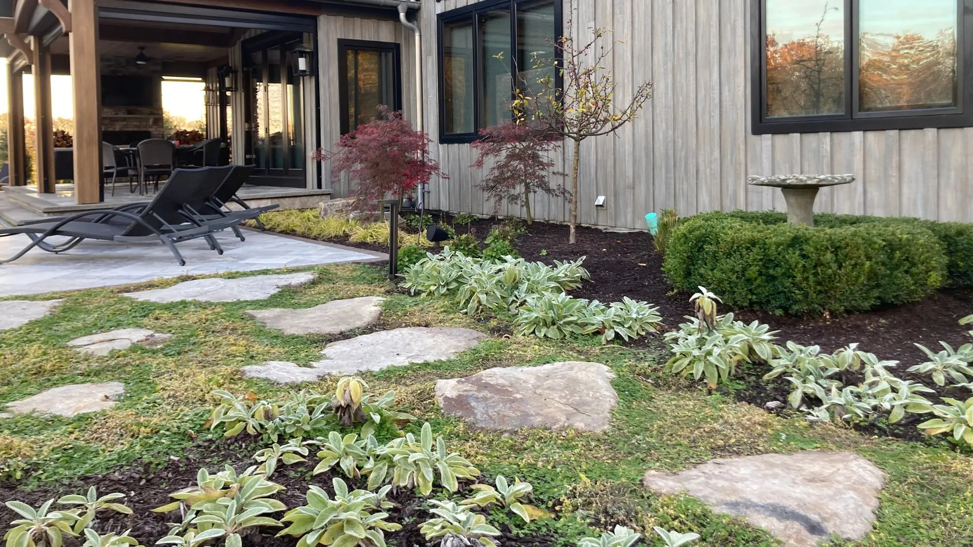 Questions to Ask Backyard Landscaping Contractors