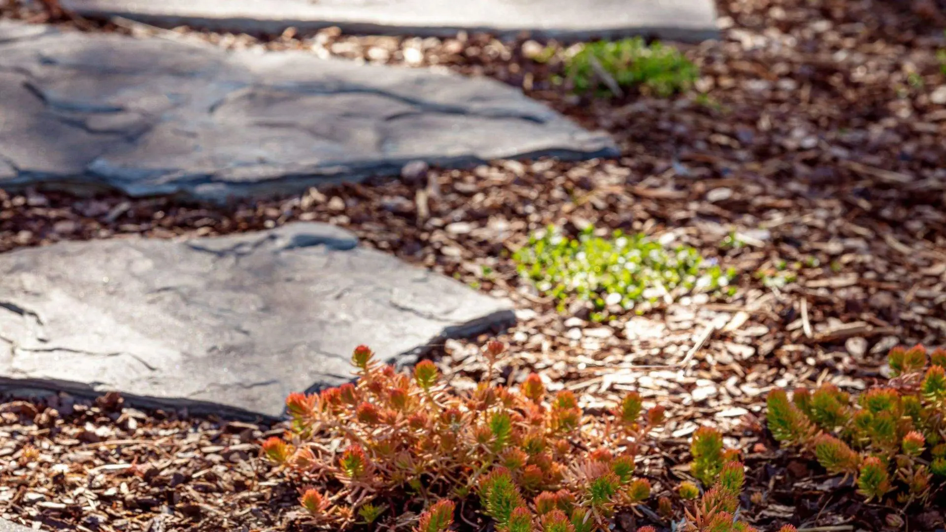 kid friendly ideas paver walkway