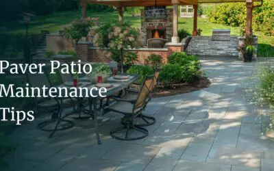 Maintaining Your New Hardscape: Paver Patio Maintenance Tips