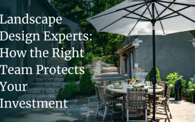 Landscape Design Experts: How the Right Team Protects Your Investment