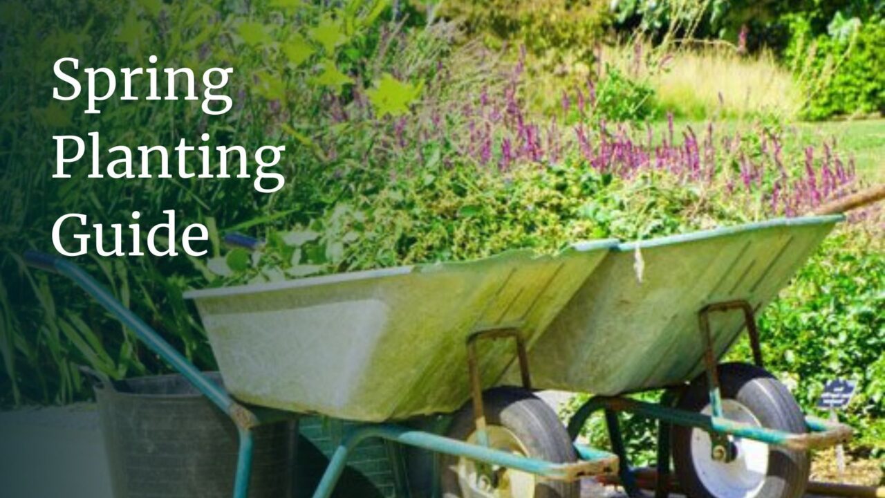 Spring Planting Guide - The Site Group
