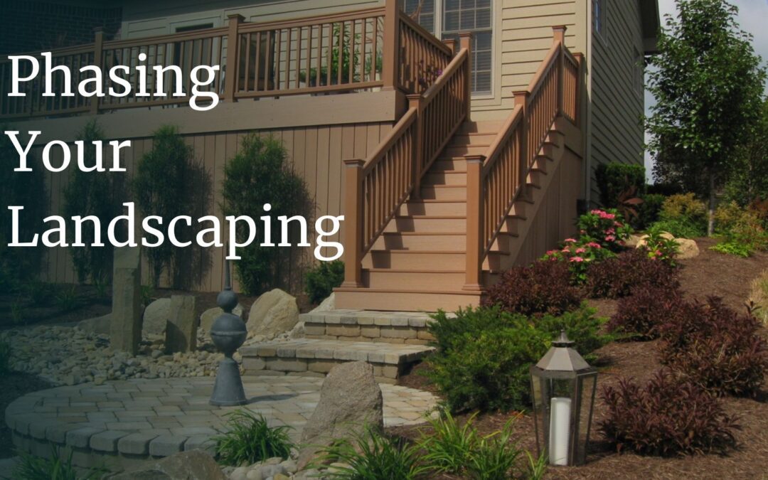 Phasing Your Landscaping