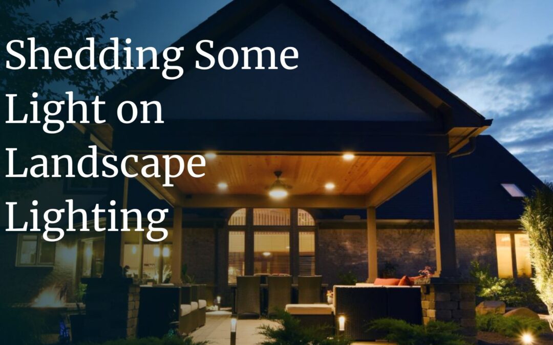 Shedding some light on landscape lighting