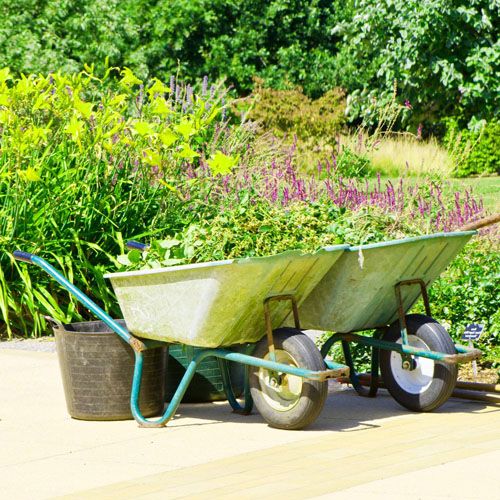 Spring Planting Guide