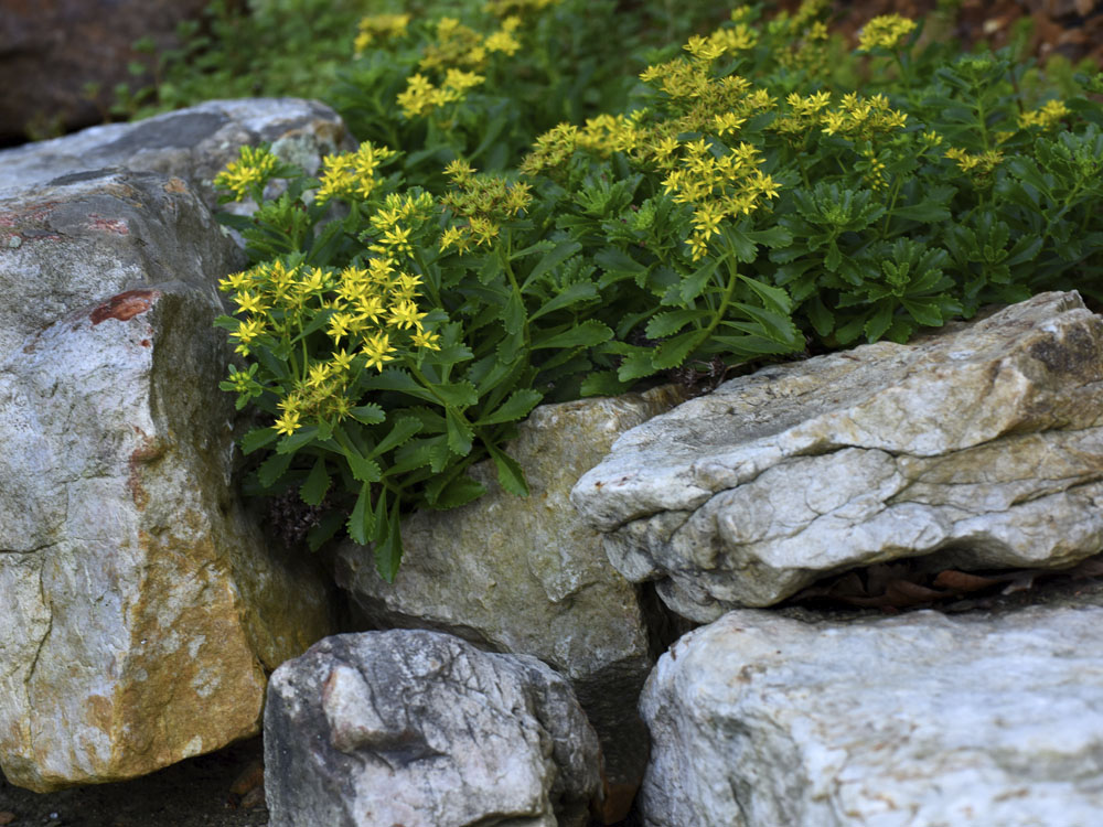 Retaining Wall Installers Premier Materials