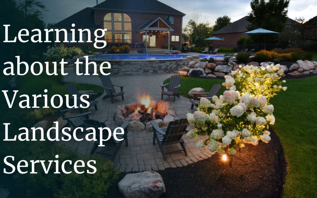 Exploring the Many Types of Landscaping Services