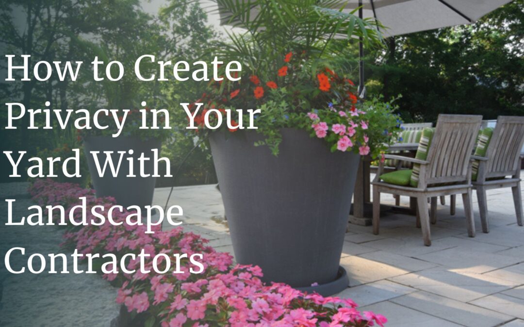How to Create Privacy in Your Yard With Landscape Contractors