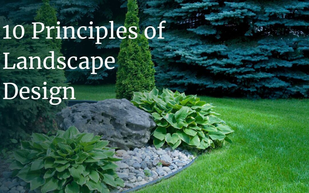 Good to Grow: 10 Principles of Landscape Design