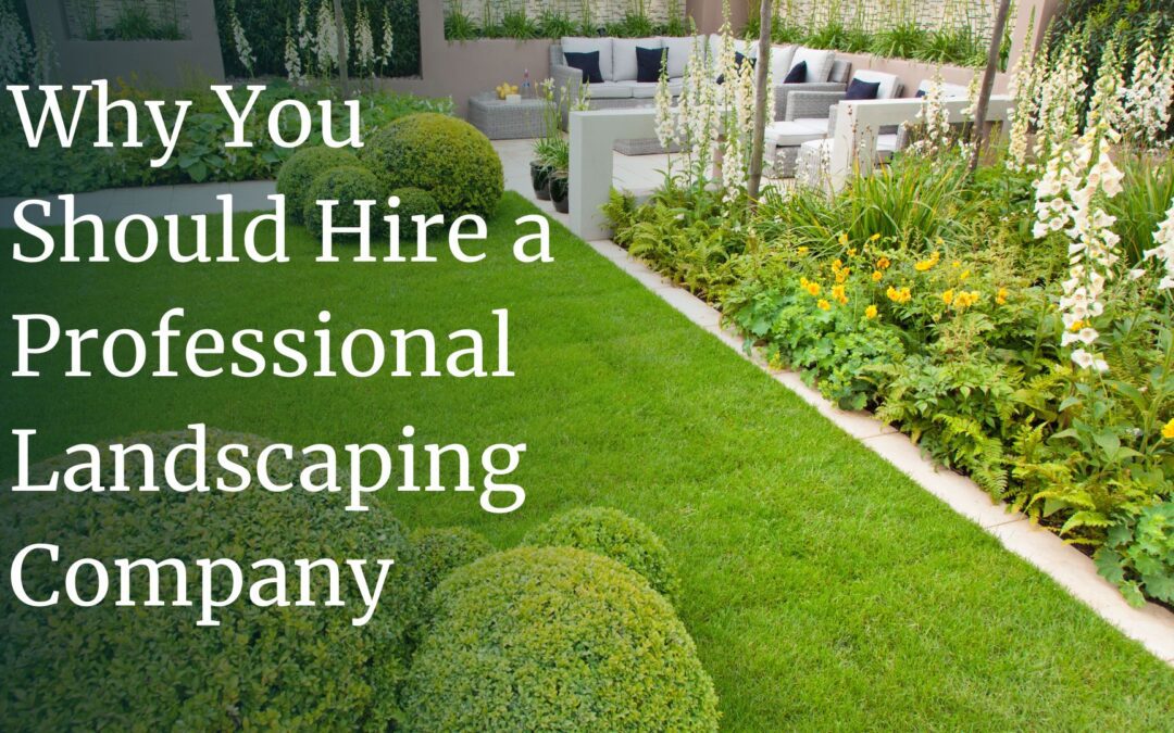 Sanity Saver: Why You Should Hire a Professional Landscaping Company