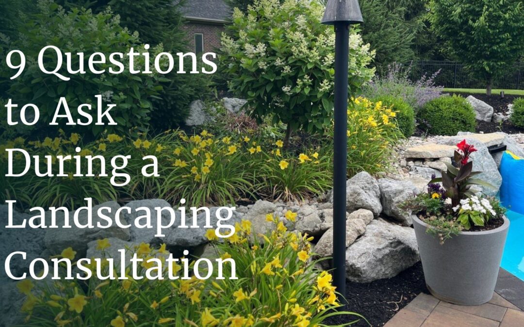 9 Questions to Ask During a Landscaping Consultation