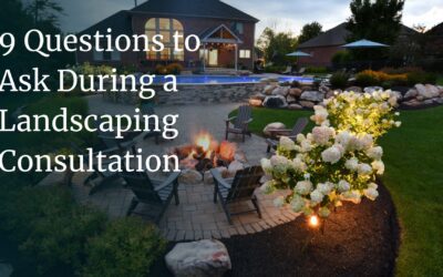 9 Questions to Ask During a Landscaping Consultation