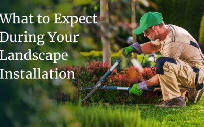 What to Expect During Your Landscape Installation