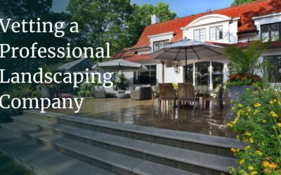 How to Vet a Professional Landscaping Company