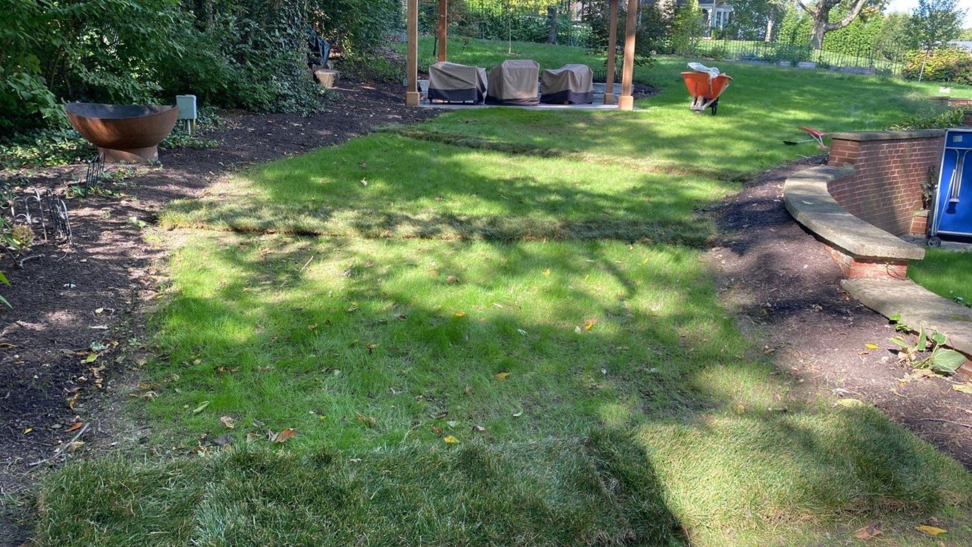 Yard Grading