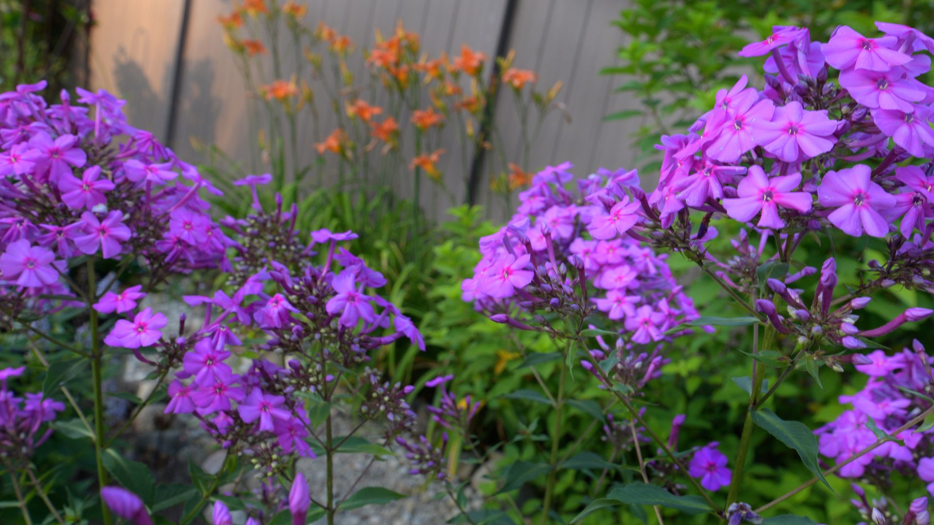 kid friendly ideas garden