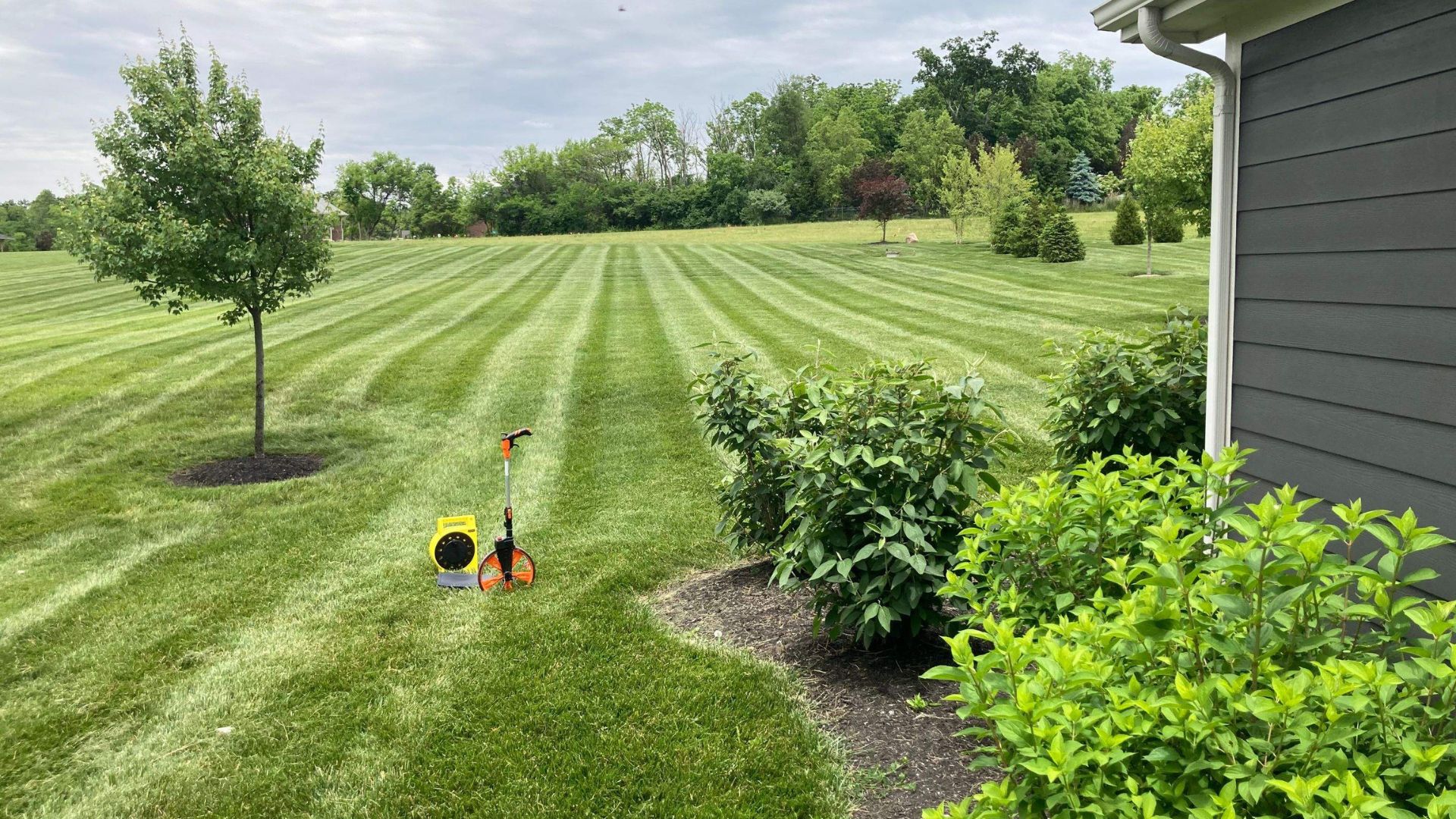 yard grading lawn