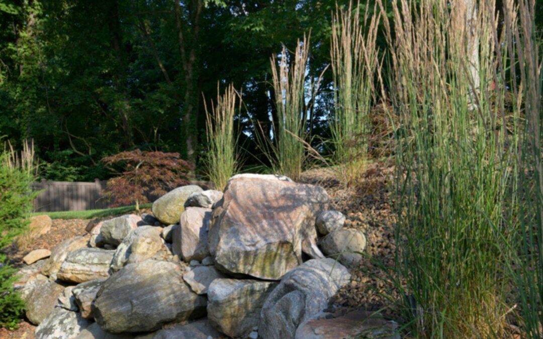 5 Low-Maintenance Landscaping Ideas for a Beautiful Backyard