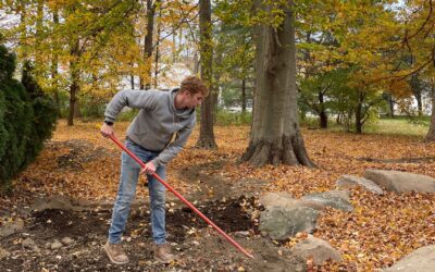 Fall Landscaping: The Complete Guide to Autumn Landscape Projects in Ohio