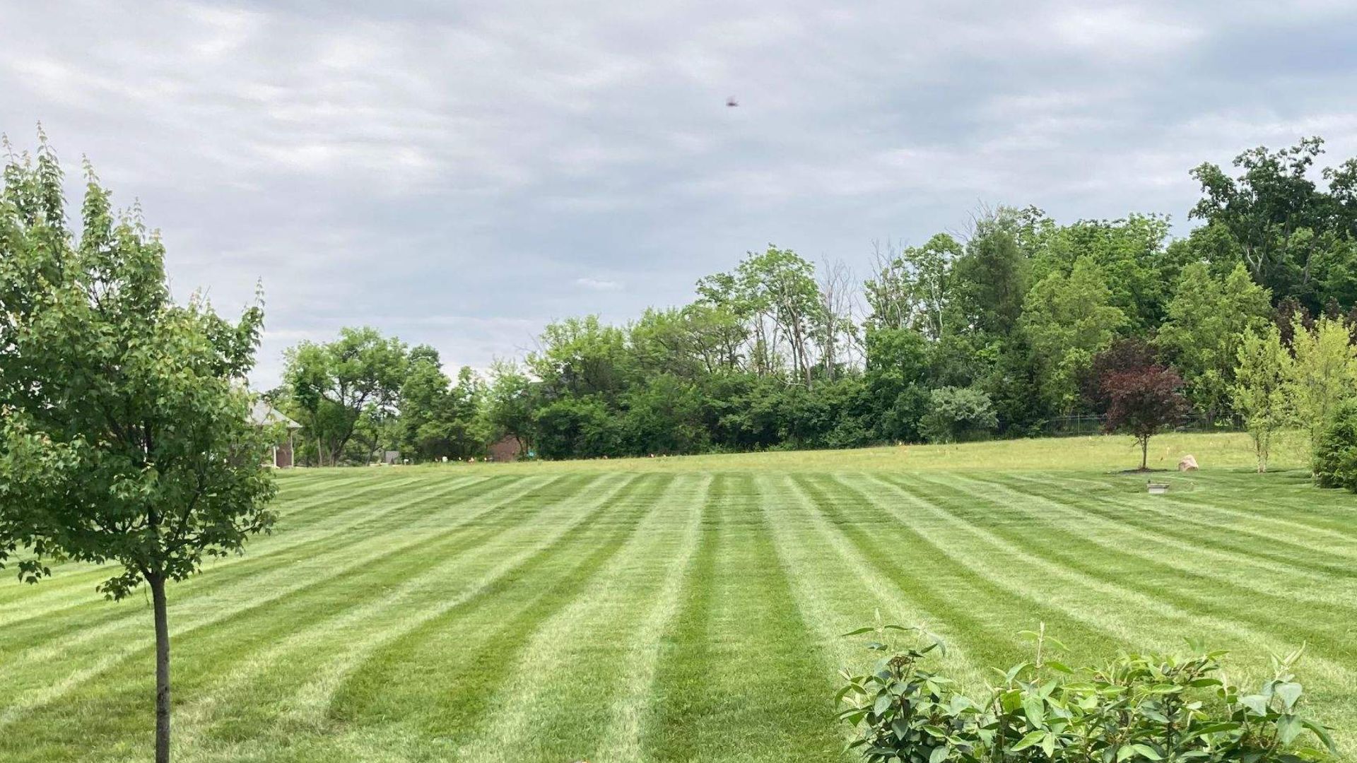 Lawn Installation