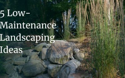 5 Low-Maintenance Landscaping Ideas for a Beautiful Backyard