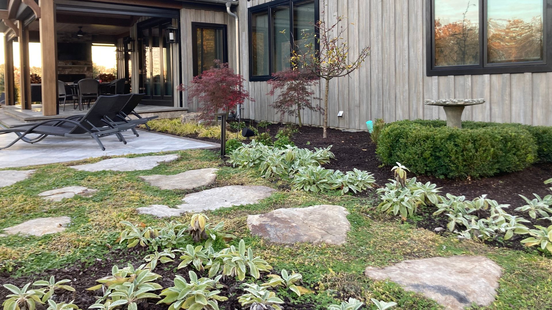 Questions to Ask Backyard Landscaping Contractors