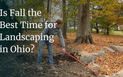 Fall Landscaping: The Complete Guide to Autumn Landscape Projects in Ohio