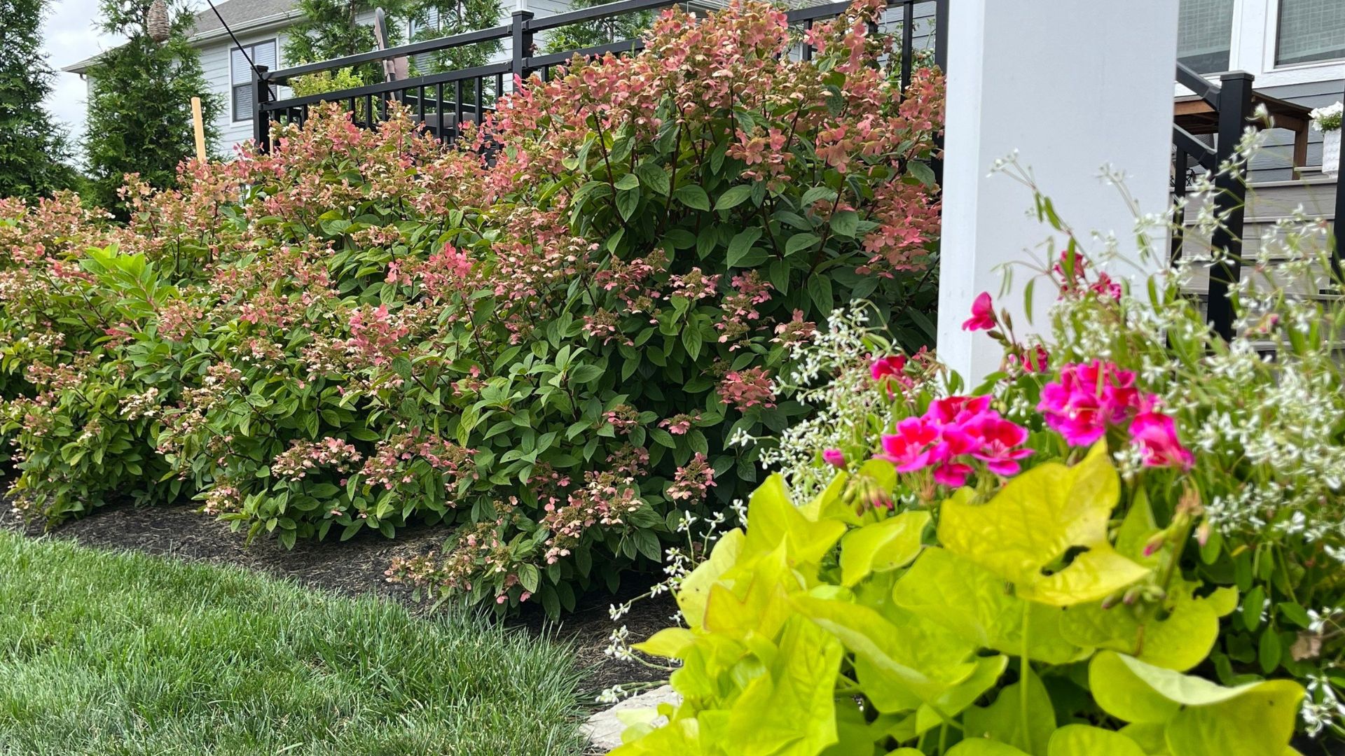 fall plants