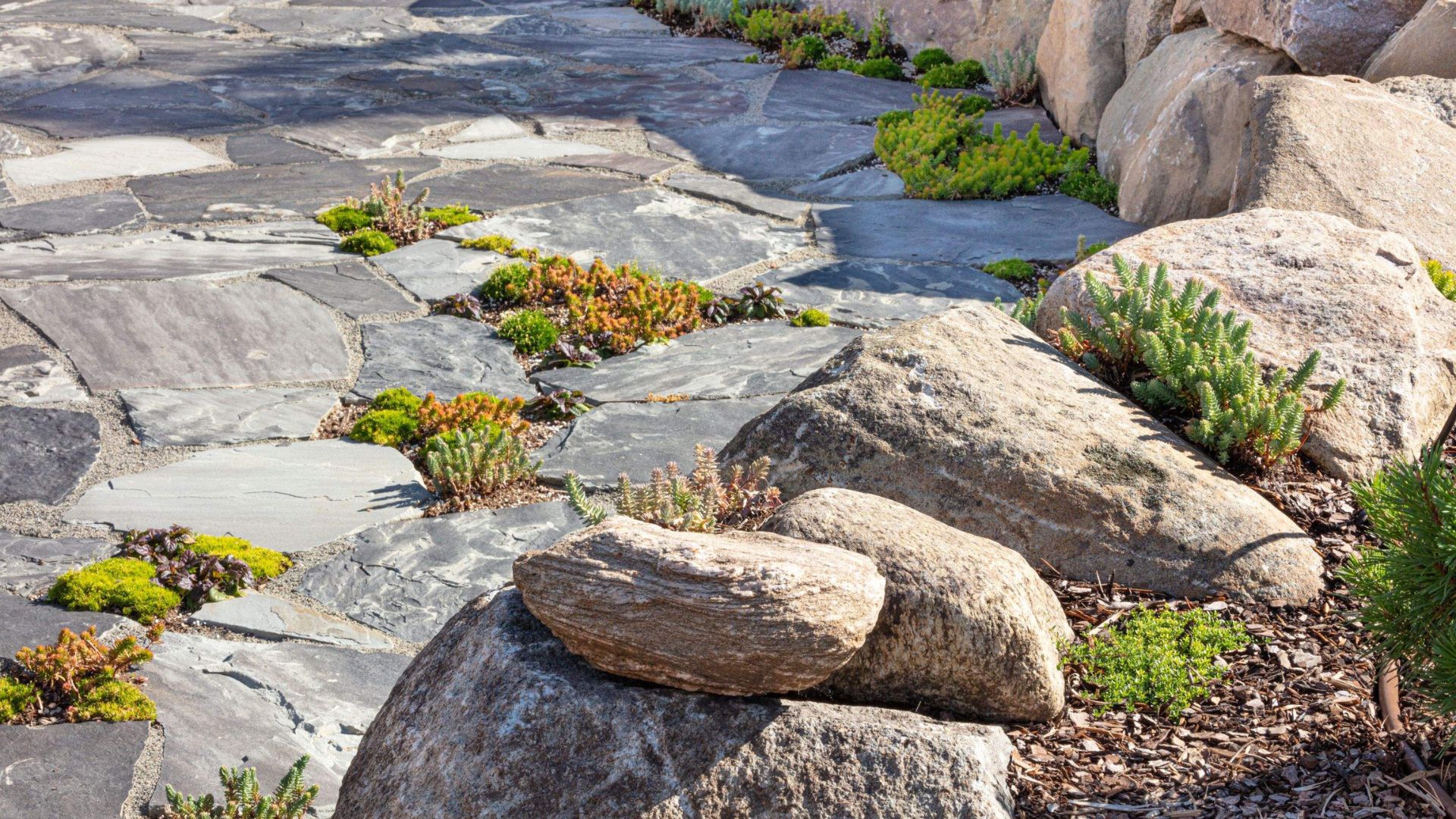 rock detail