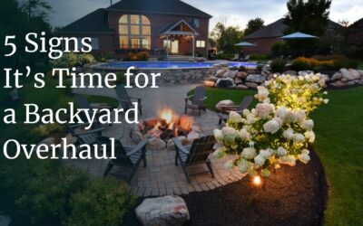 Wondering When to Redo Your Backyard? 5 Signs It’s Time for an Overhaul