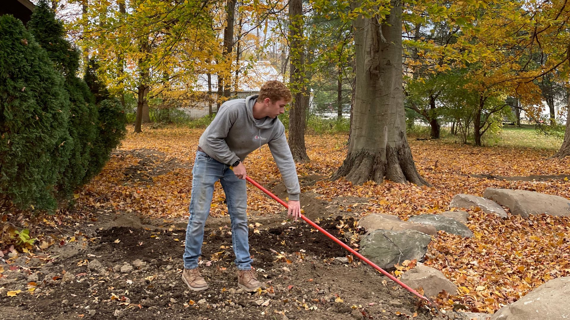 Benefits of hiring a landscape designer