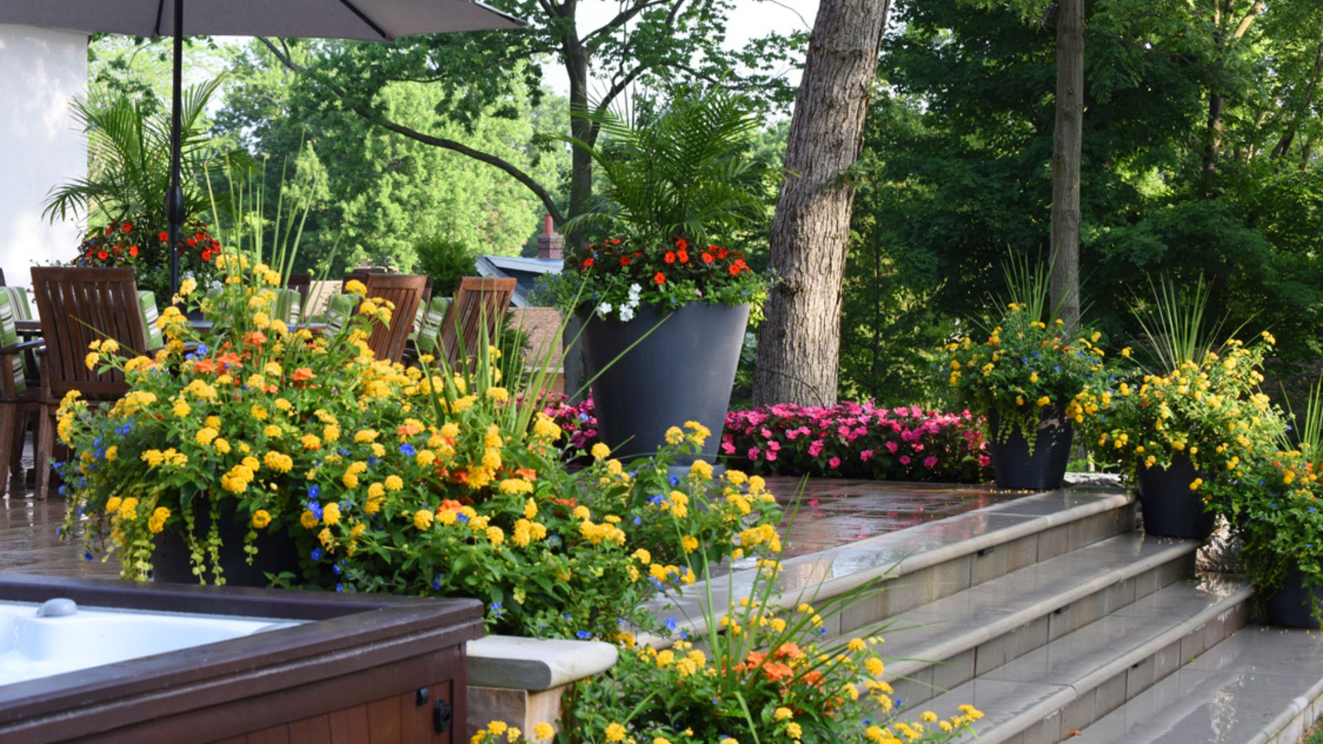 Reasons to hire a landscape designer