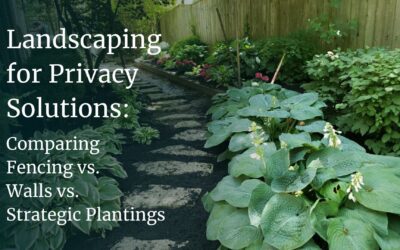 Landscaping for Privacy Solutions: Comparing Fencing, Walls and Strategic Plantings