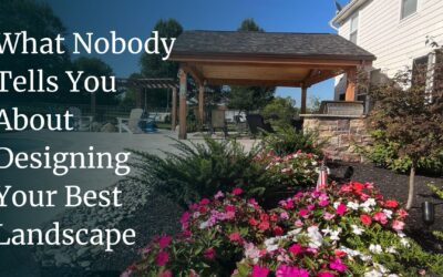 What Nobody Tells You About Designing Your Best Landscape