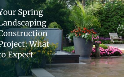 Your Spring Landscaping Construction Project: What to Expect