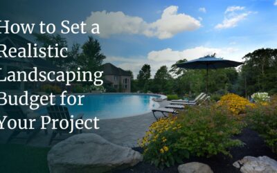 How to Set a Realistic Landscaping Budget for Your Project
