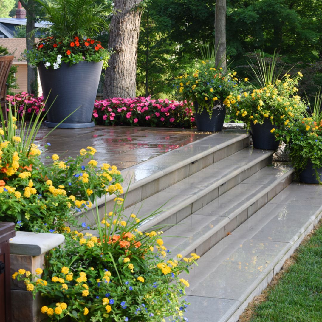Personal Gardener Services - Regular Checks - The SITE Group